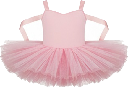 Pink Ballet Tutu Adult