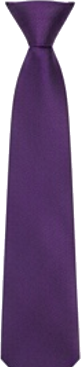 Purple Skinny Tie