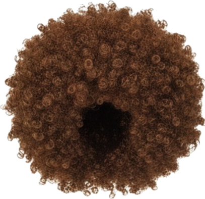 Curly Brown Afro Wig