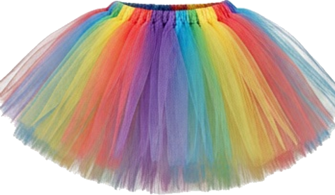 Rainbow Tutu Skirt Adult Layered Tulle