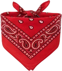 Red Paisley Bandana