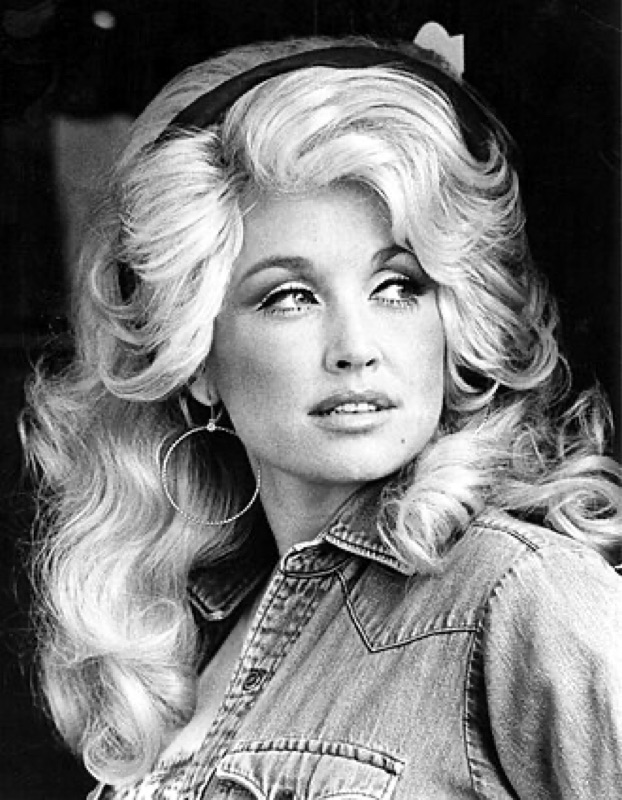 Dolly Parton costume reference