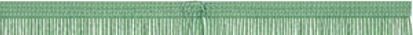 Green Pistachio Cream Fringe Trim