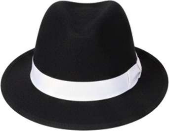 Black Fedora Hat with White Band