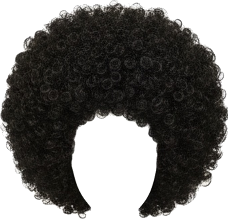 Big Black Bouncy Blowout Wig