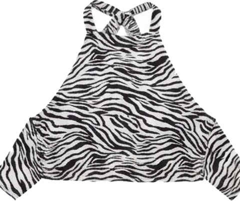 Zebra Print Halter Crop Top