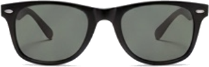 Classic Black Wayfarer Sunglasses