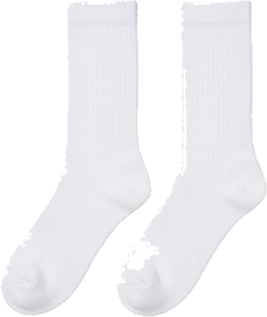 White Crew Socks 6 Pack