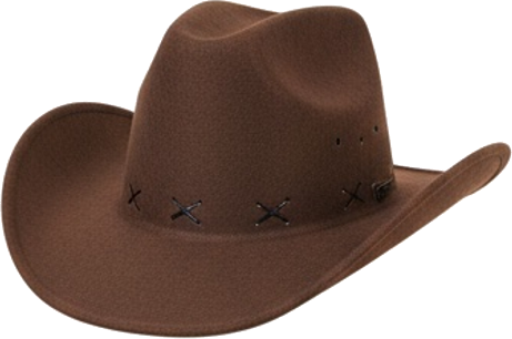 Brown Cowboy Hat Western
